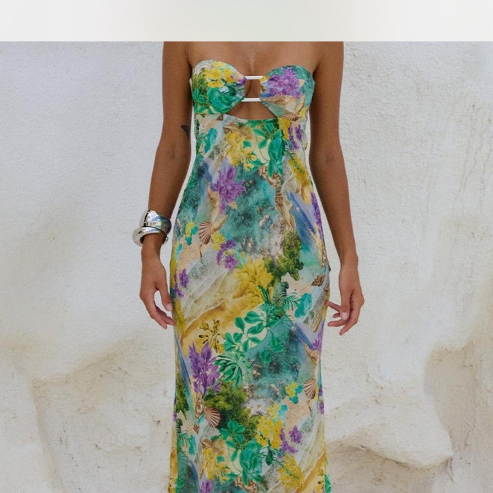 runaway the label Strapless Maxi Dress in esme print
